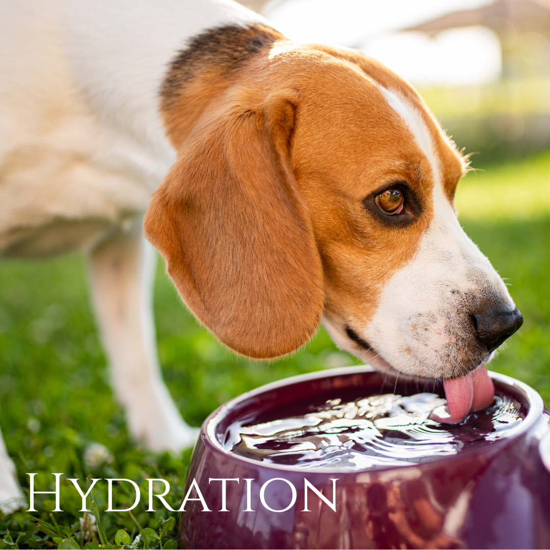Hydration