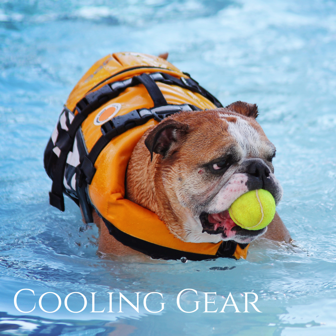 Cooling Gear