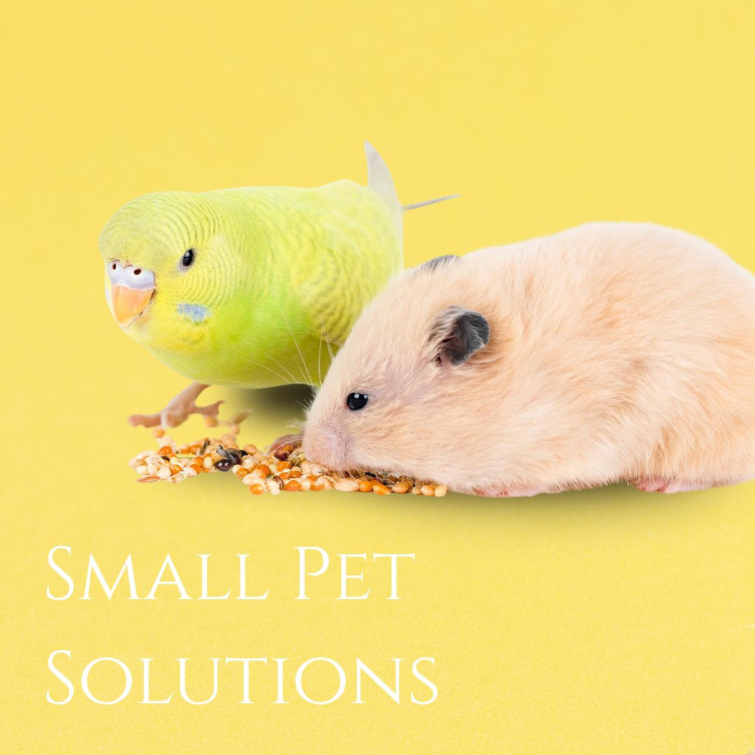 Small Pet Solutions