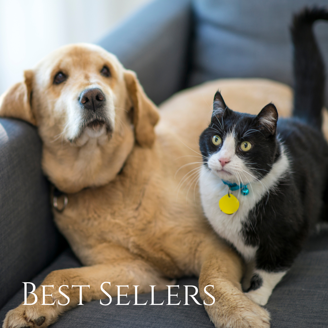 Best Sellers