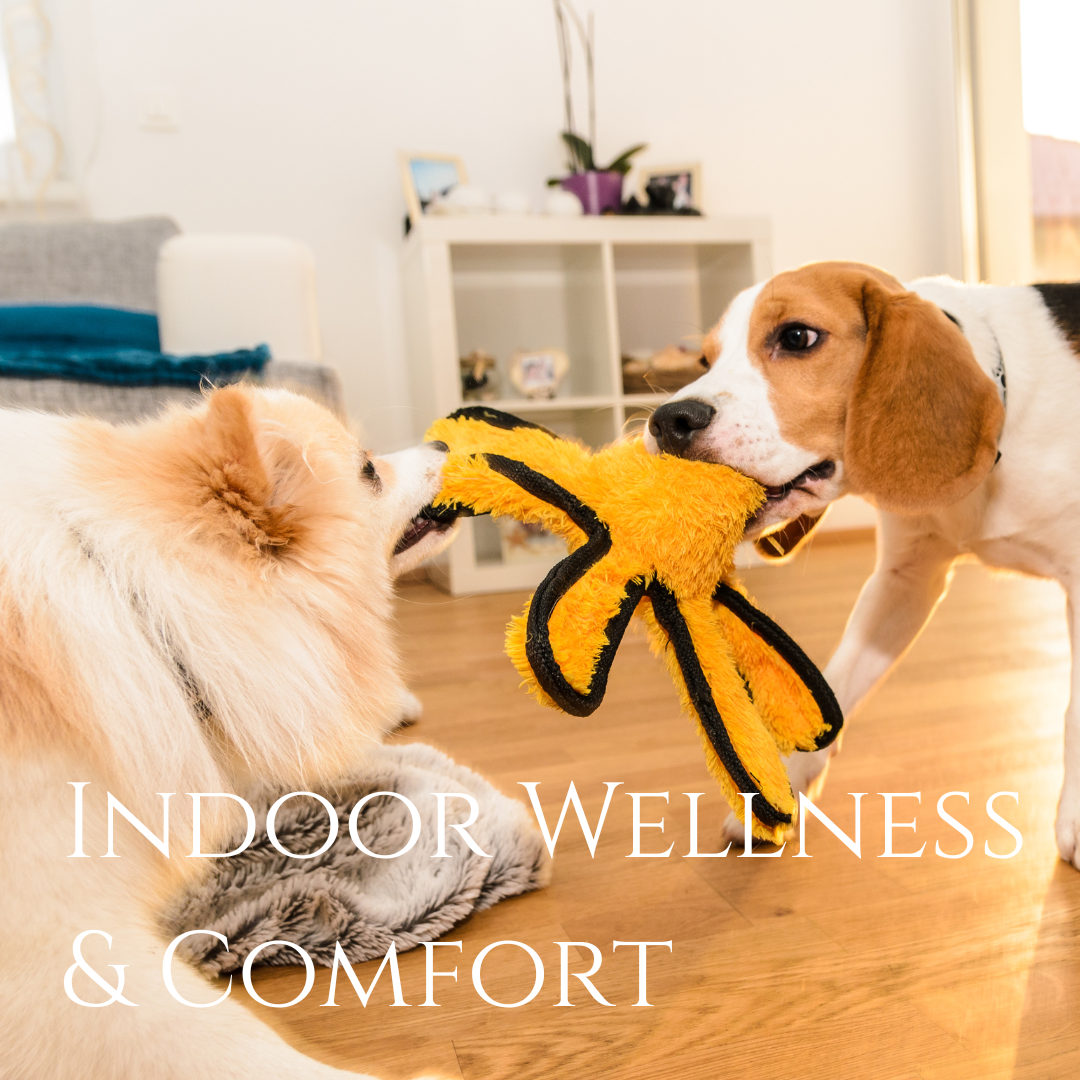 Indoor Wellness & Comfort