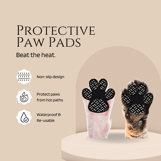 Protective Paws Pads