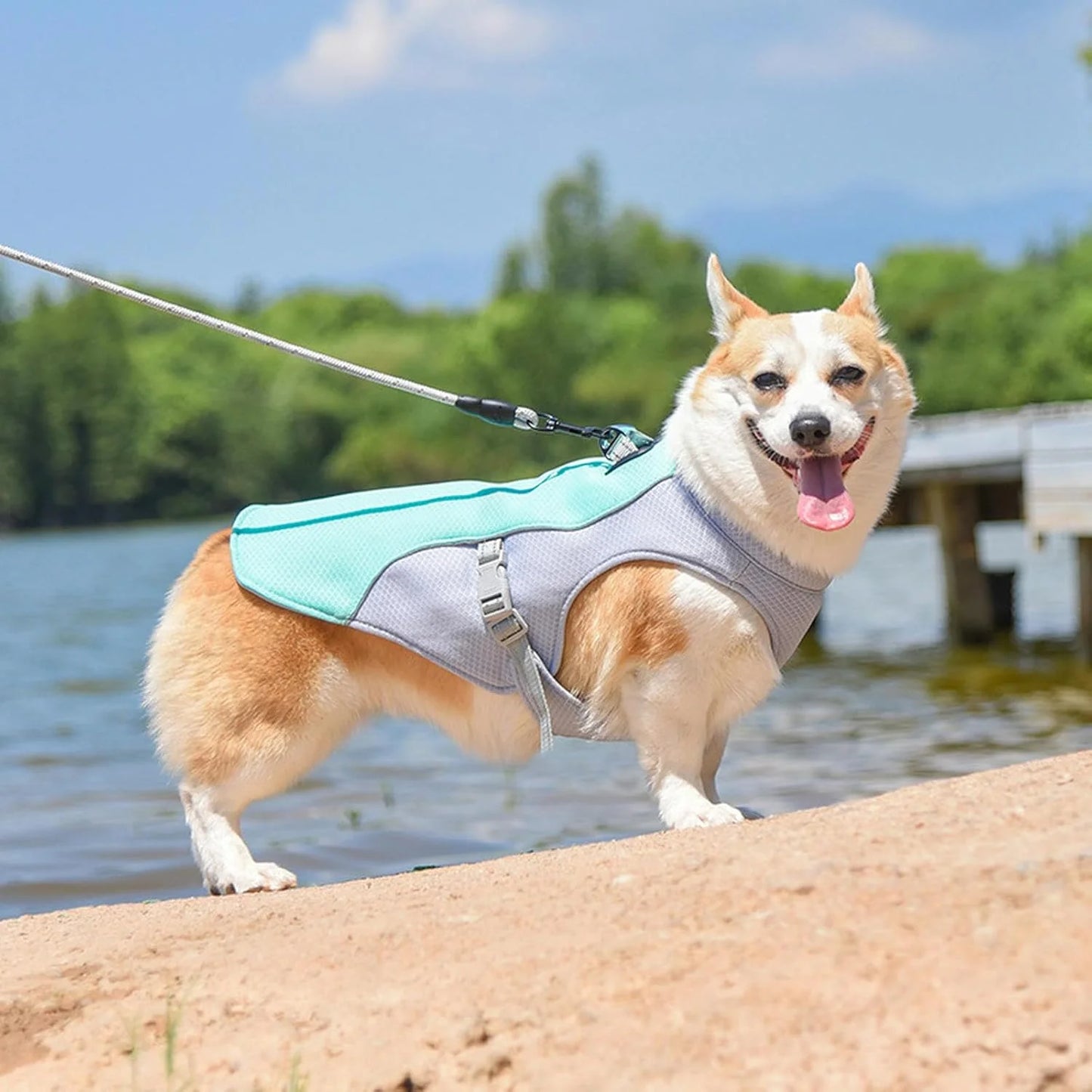 Cooling Vest