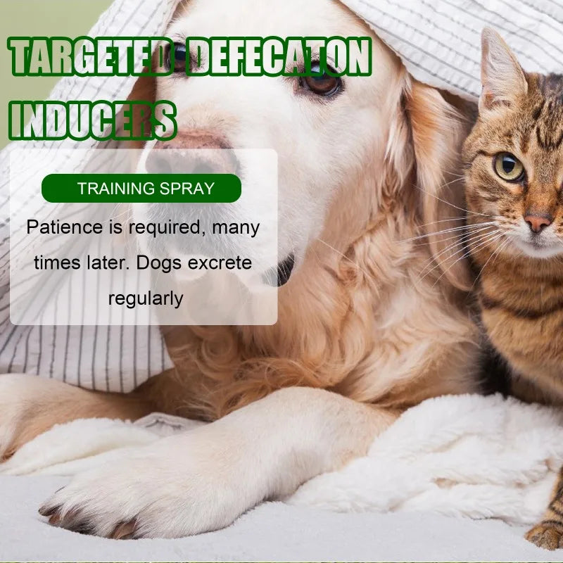 Yegbong Pet Positioning Defecation Inducer Pet Toilet Inducer Defecation Positioning Training Toilet Inducer
