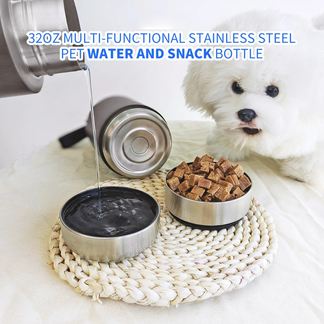 Insulated Pet Water Bottle