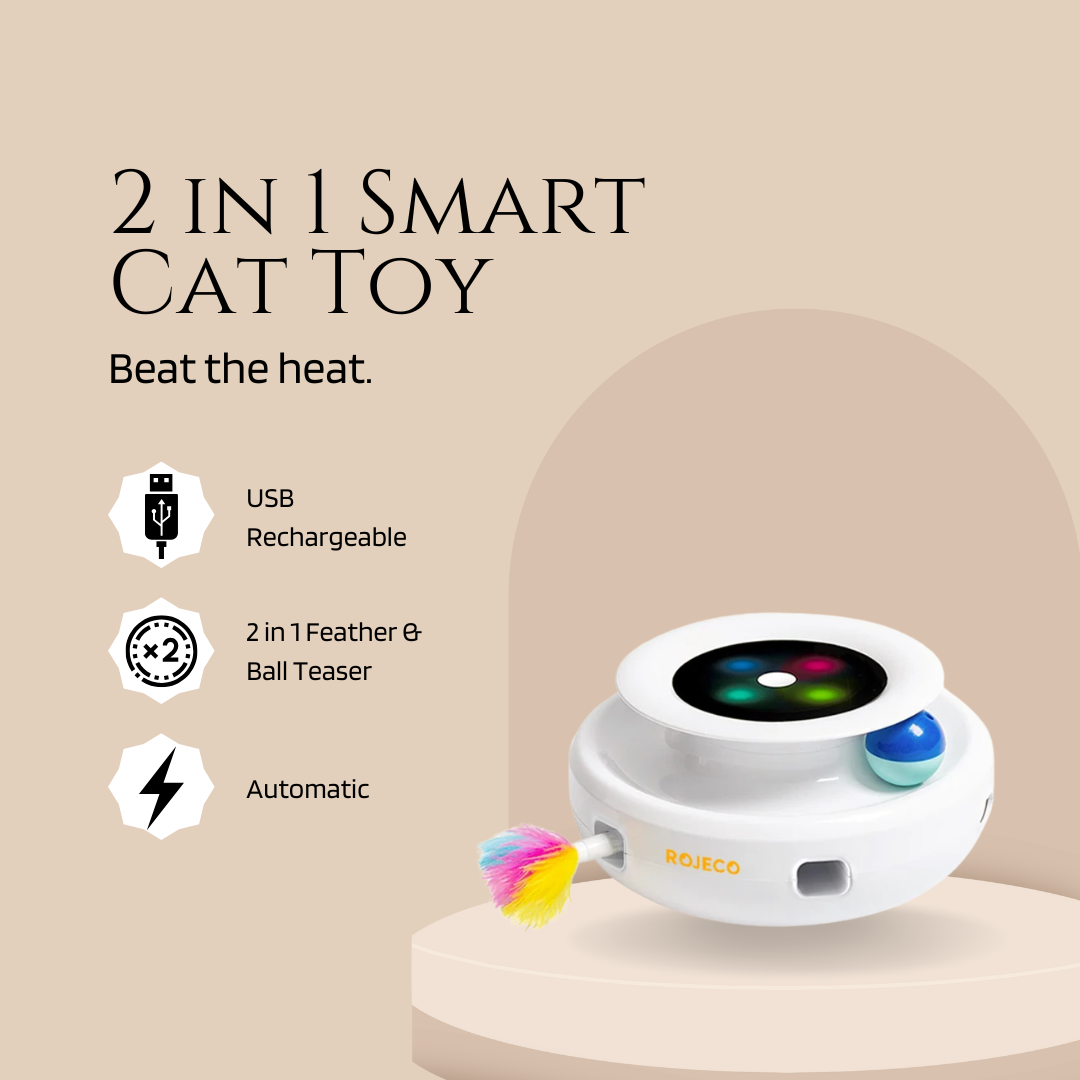 2 in 1 Smart Cat Toy