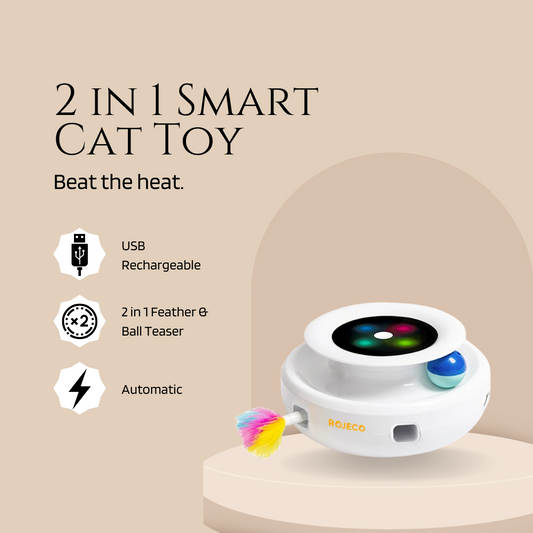 2 in 1 Smart Cat Toy