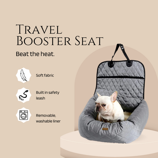 Travel Booster Seat