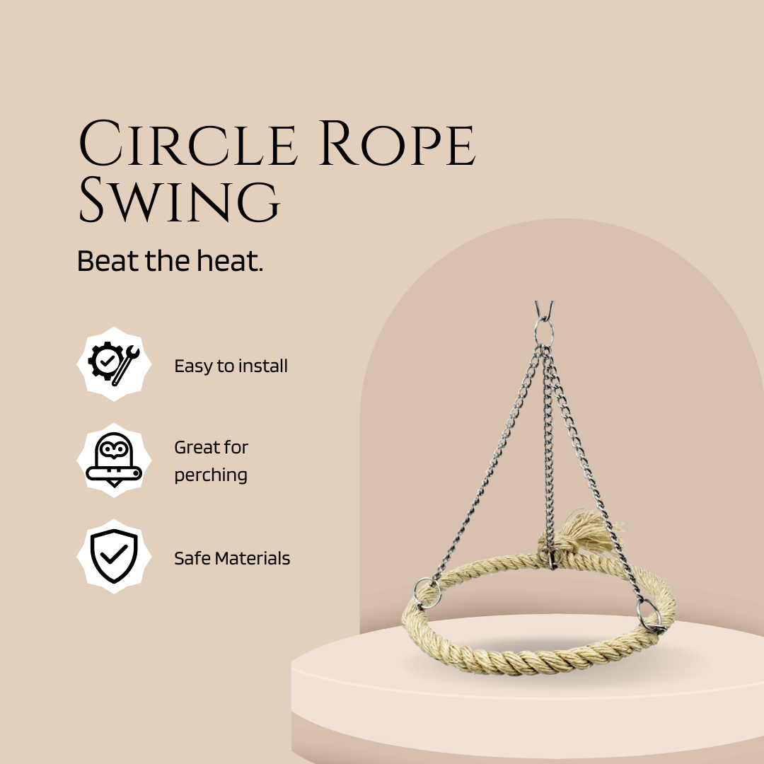 Bird Circle Rope Swing