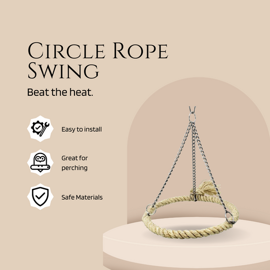Bird Circle Rope Swing