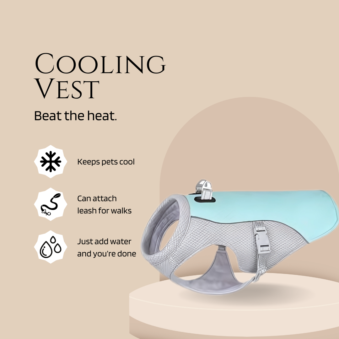 Cooling Vest