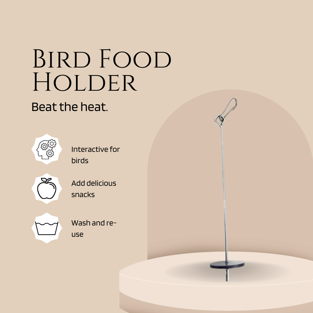Bird Food Holder