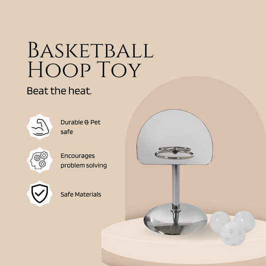 Bird Basketball Toy